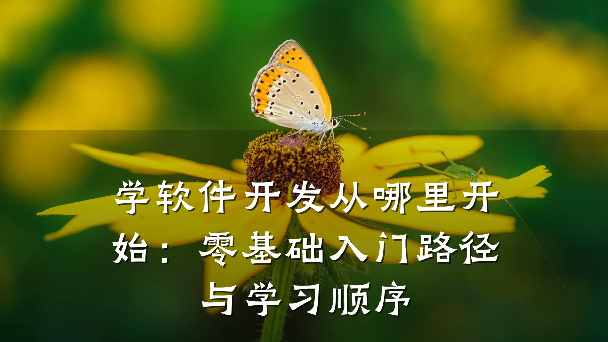 学软件开发从哪里开始:零基础入门路径与学习顺序