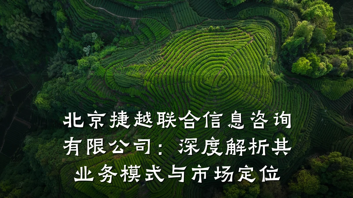 北京捷越联合信息咨询有限公司:深度解析其业务模式与市场定位