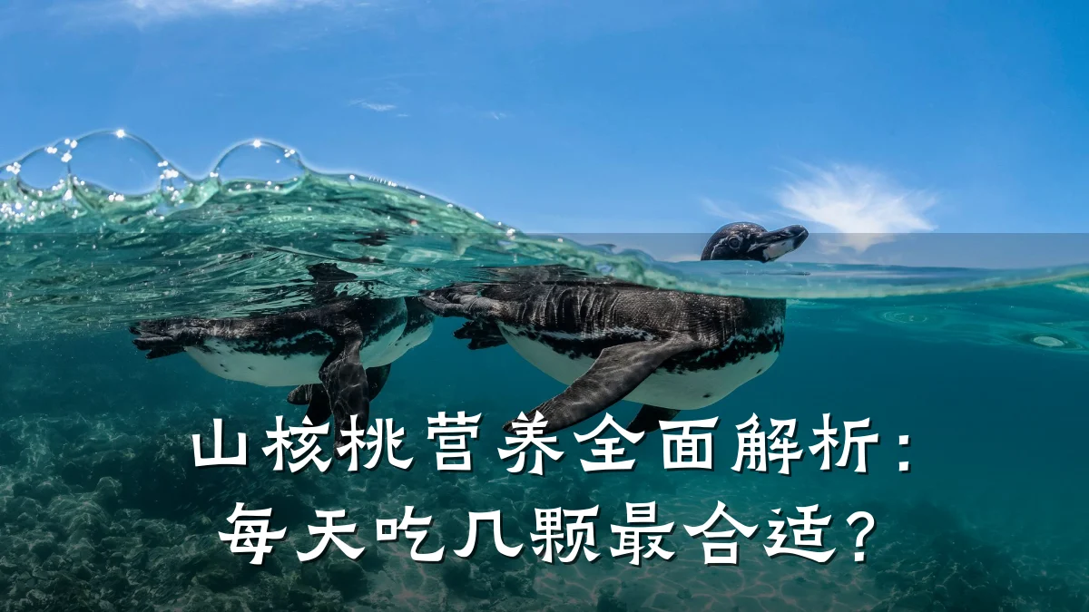 山核桃营养全面解析：每天吃几颗最合适？