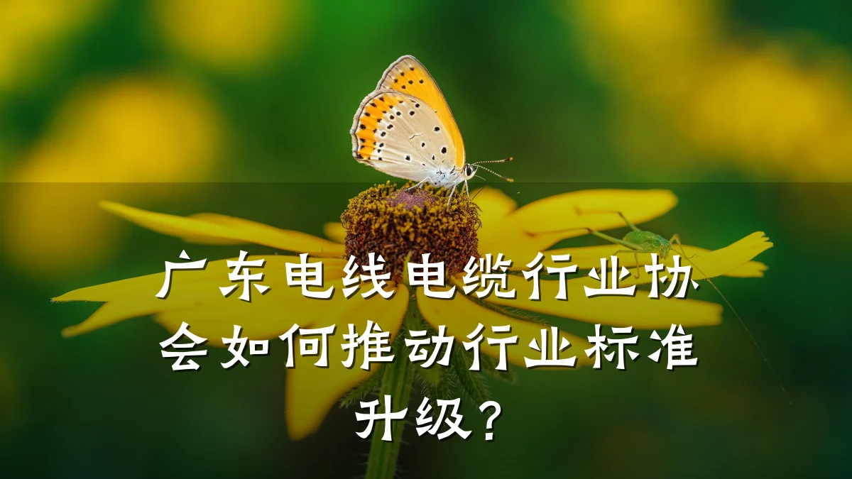 广东电线电缆行业协会如何推动行业标准升级?