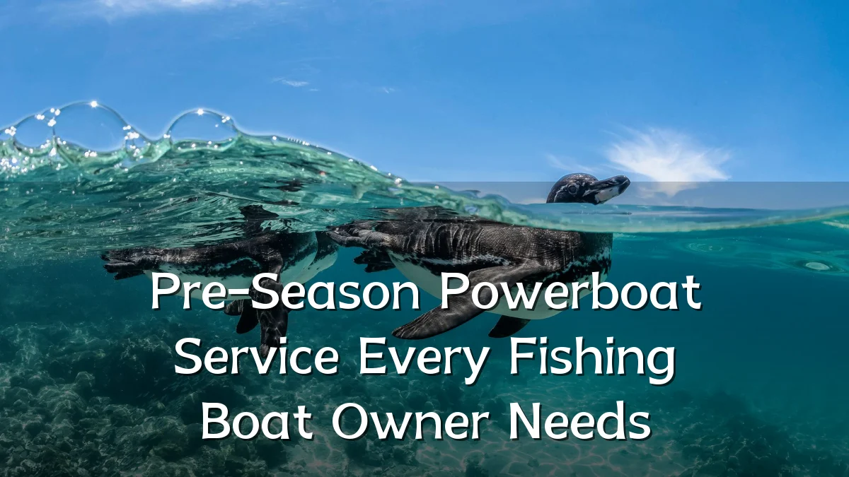 Pre-Season Powerboat Service Every Fishing Boat Owner Needs