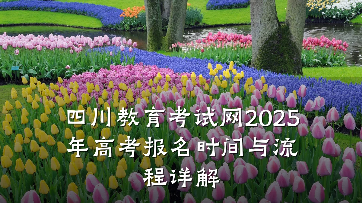 四川教育考试网2025年高考报名时间与流程详解