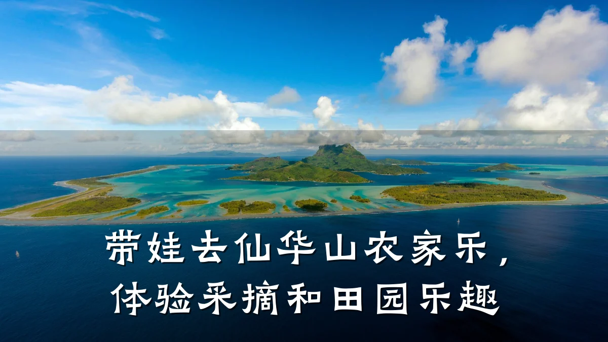 带娃去仙华山农家乐,体验采摘和田园乐趣
