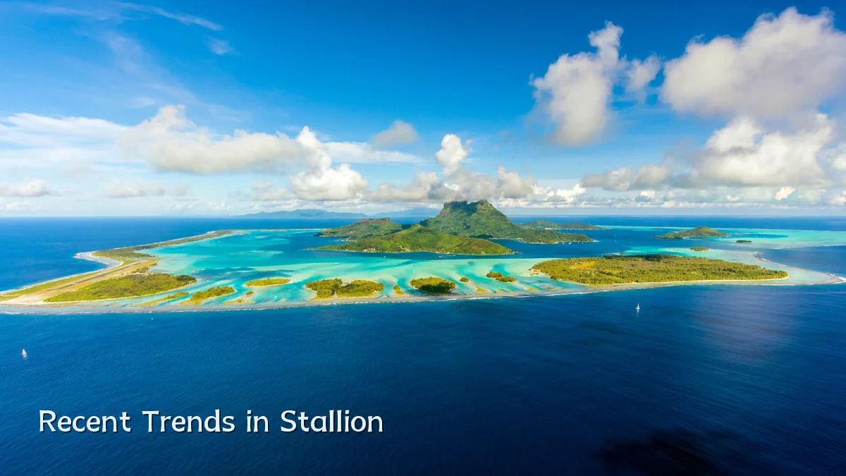 Recent Trends in Stallion