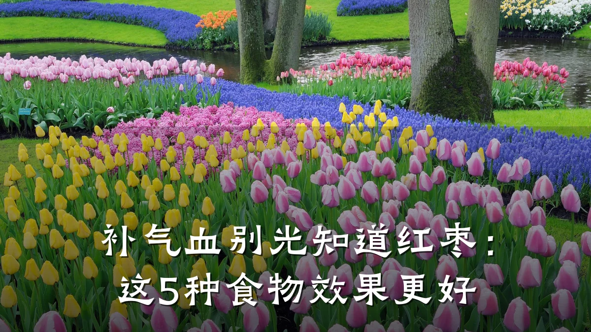 补气血别光知道红枣：这5种食物效果更好