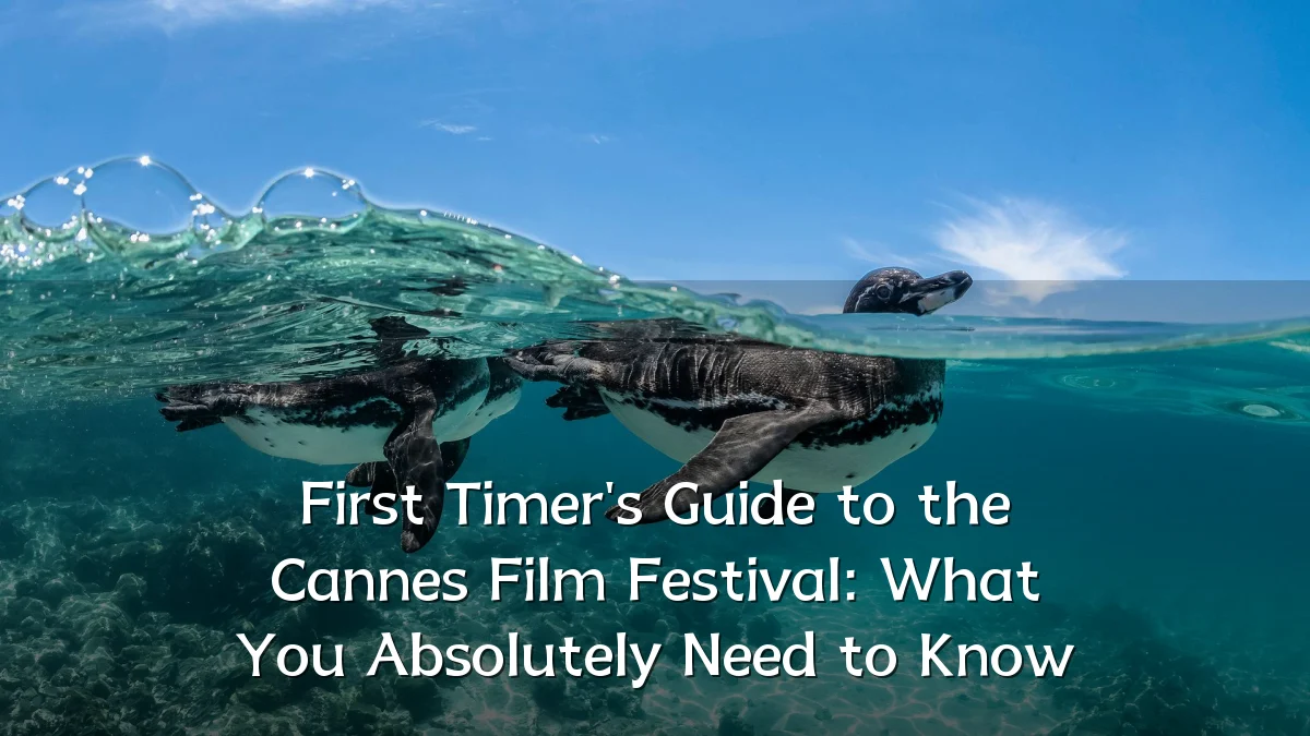 First Timer's Guide to the Cannes Film Festival: What You Absolutely Need to Know