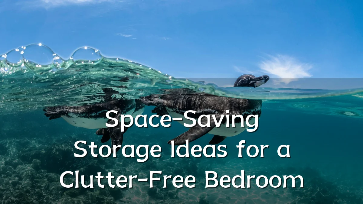 Space-Saving Storage Ideas for a Clutter-Free Bedroom