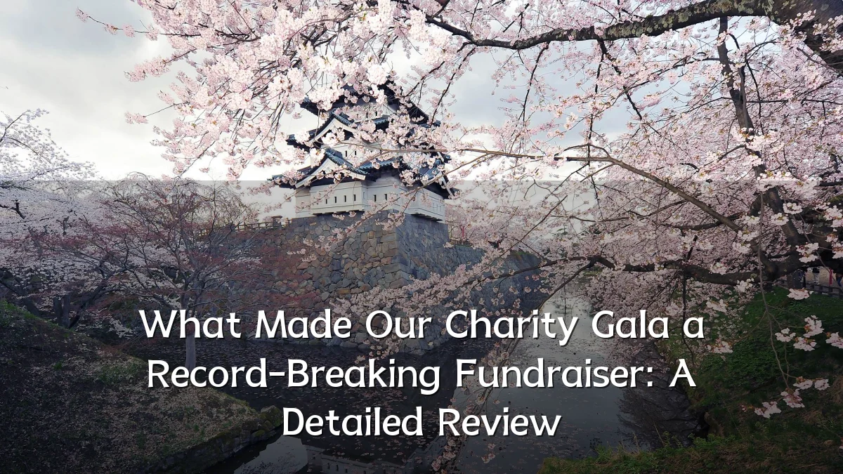 What Made Our Charity Gala a Record-Breaking Fundraiser: A Detailed Review