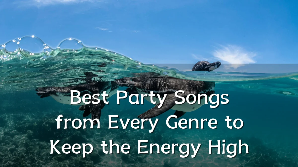 Best Party Songs from Every Genre to Keep the Energy High