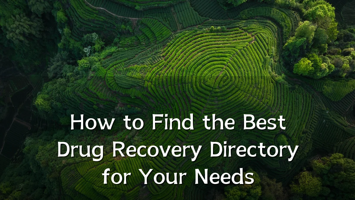 How to Find the Best Drug Recovery Directory for Your Needs