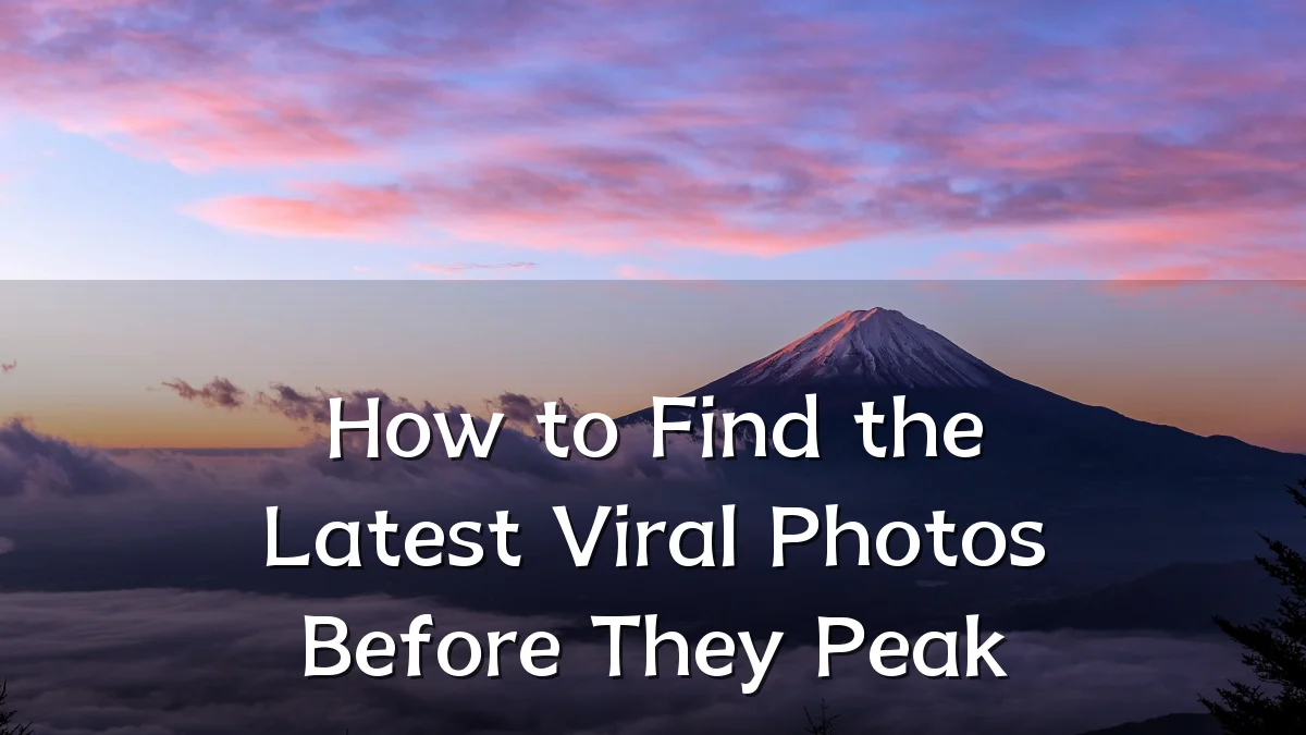 How to Find the Latest Viral Photos Before They Peak