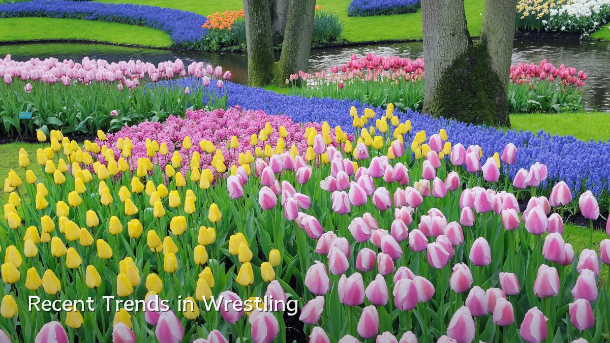 Recent Trends in Wrestling