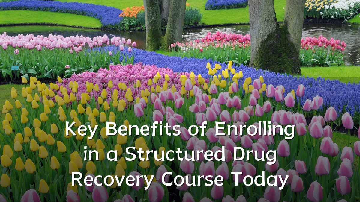 Key Benefits of Enrolling in a Structured Drug Recovery Course Today