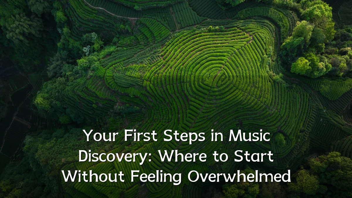 Your First Steps in Music Discovery: Where to Start Without Feeling Overwhelmed