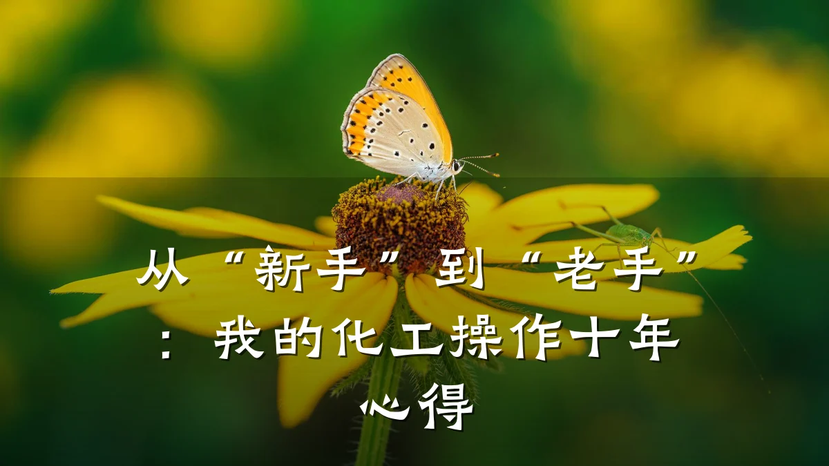 从“新手”到“老手”:我的化工操作十年心得