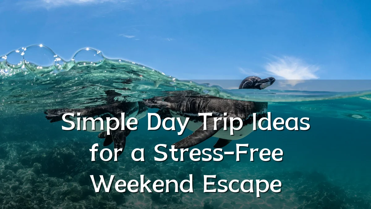 Simple Day Trip Ideas for a Stress-Free Weekend Escape
