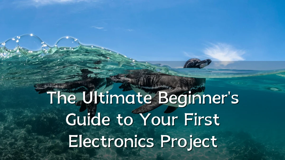 The Ultimate Beginner's Guide to Your First Electronics Project