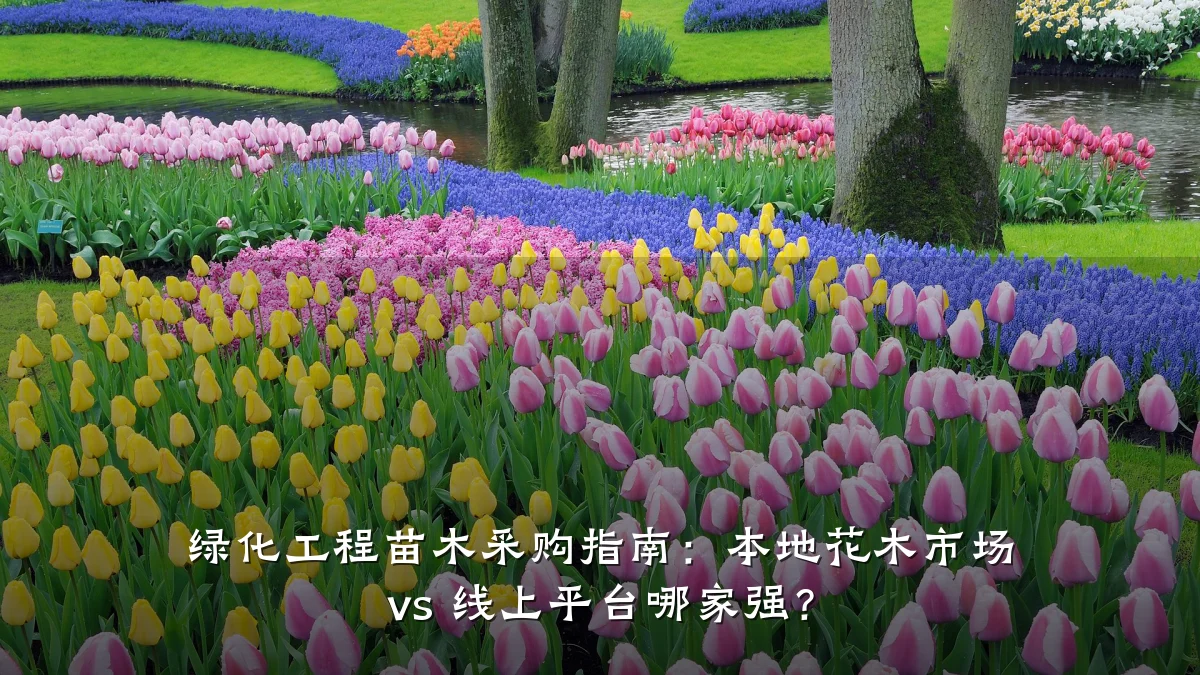 绿化工程苗木采购指南:本地花木市场 vs 线上平台哪家强?