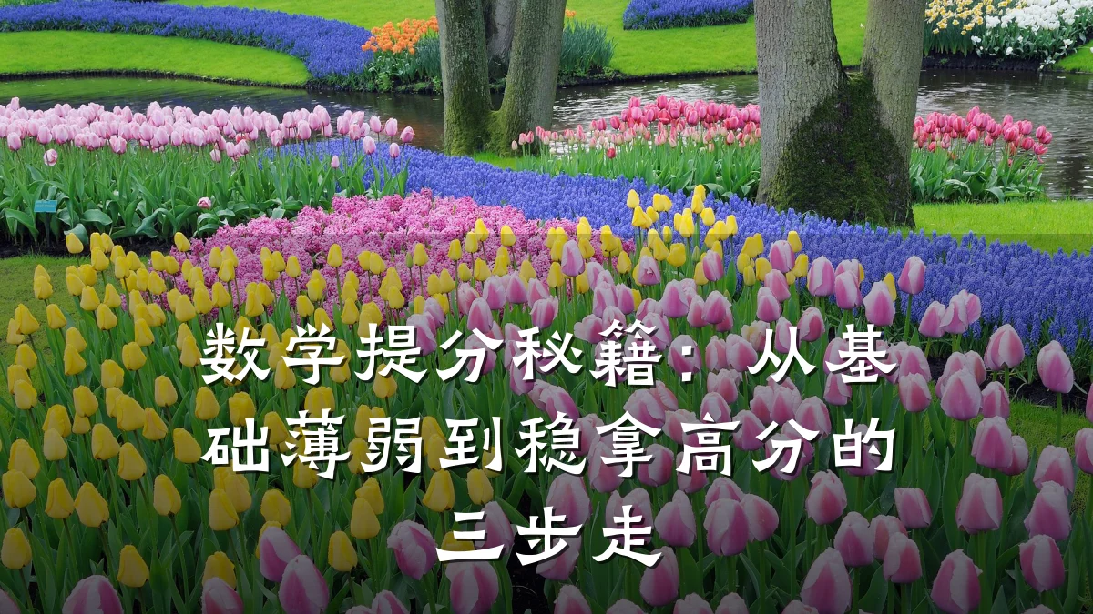 数学提分秘籍:从基础薄弱到稳拿高分的三步走