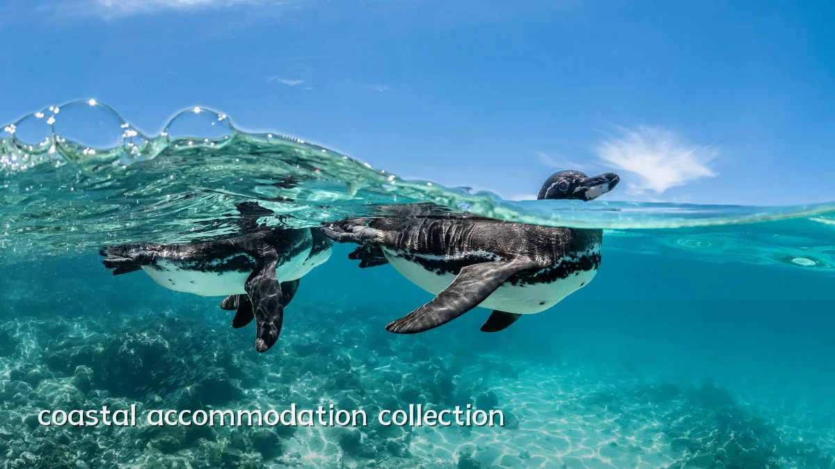 coastal accommodation collection