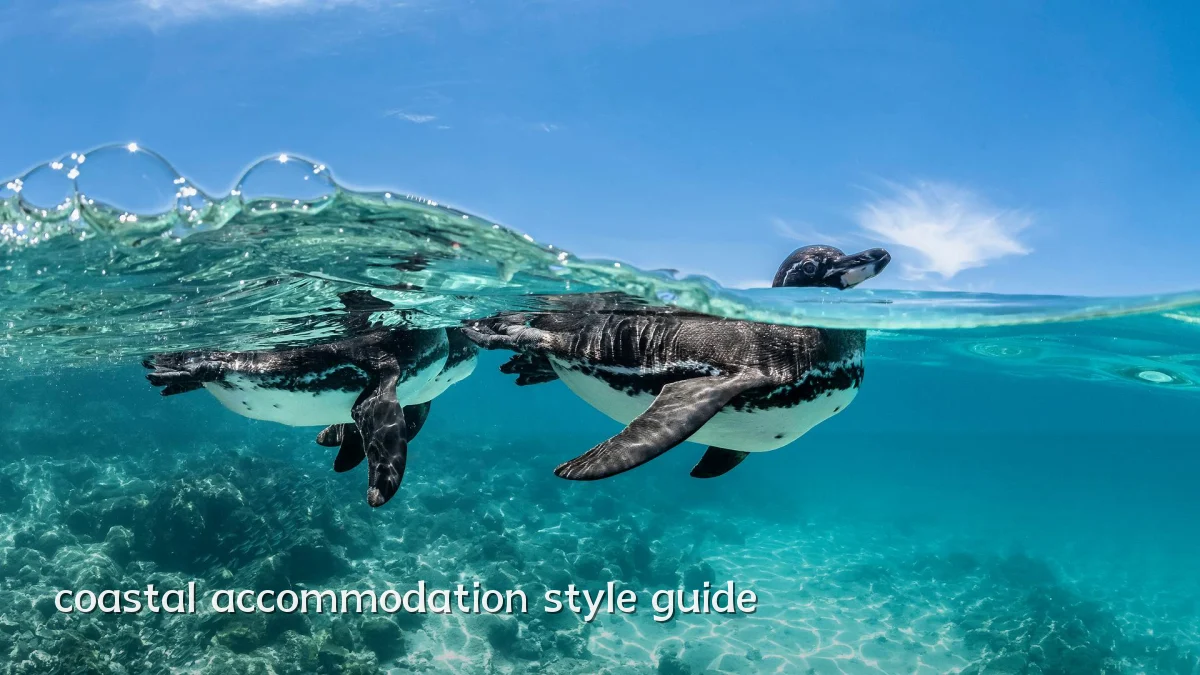 coastal accommodation style guide