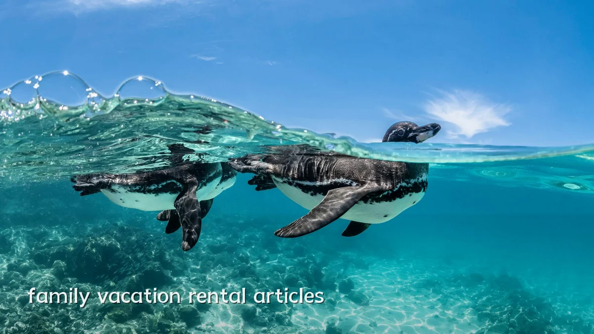 family vacation rental articles
