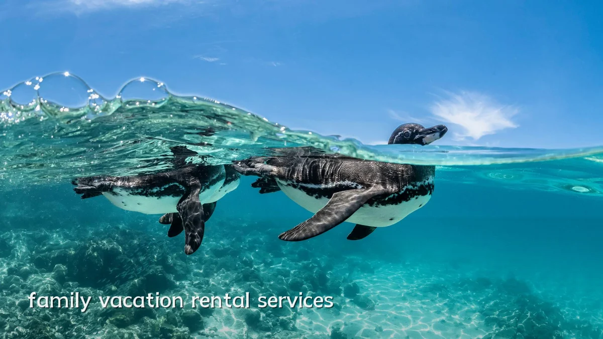 family vacation rental services