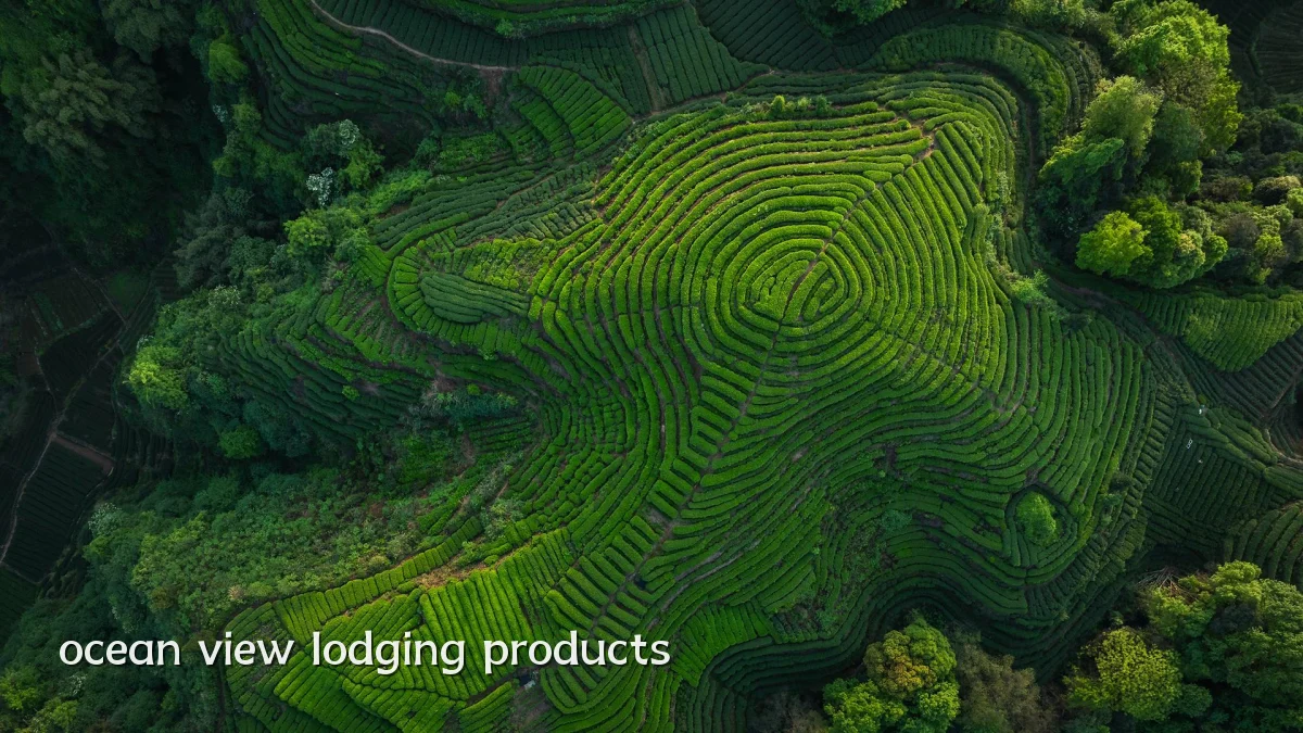 ocean view lodging products
