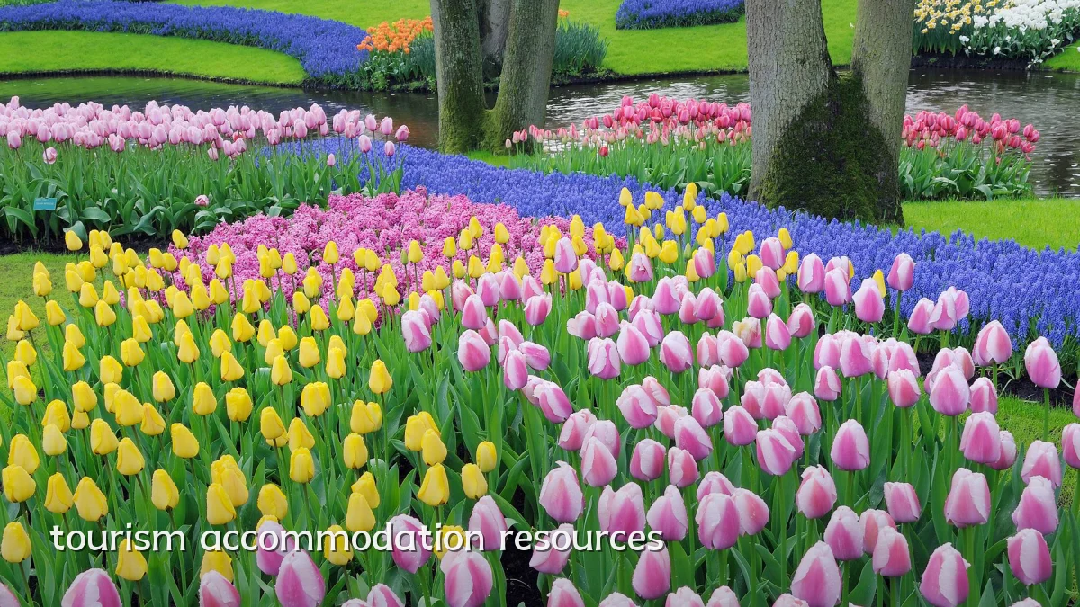 tourism accommodation resources