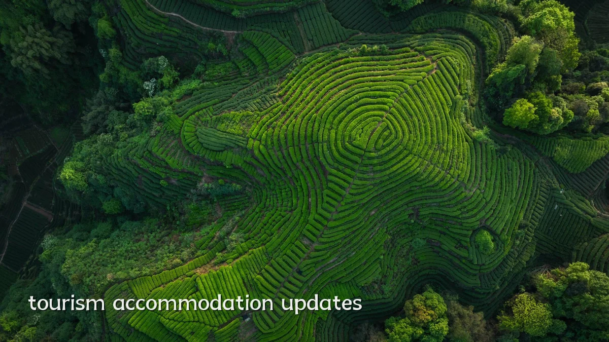 tourism accommodation updates