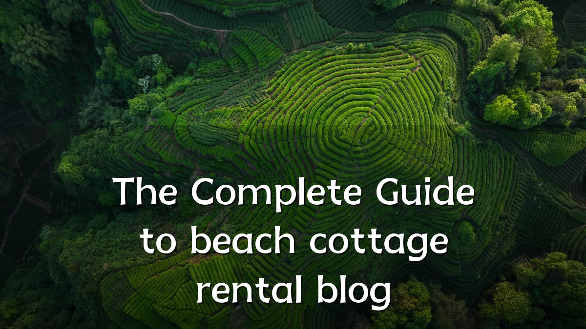 The Complete Guide to beach cottage rental blog