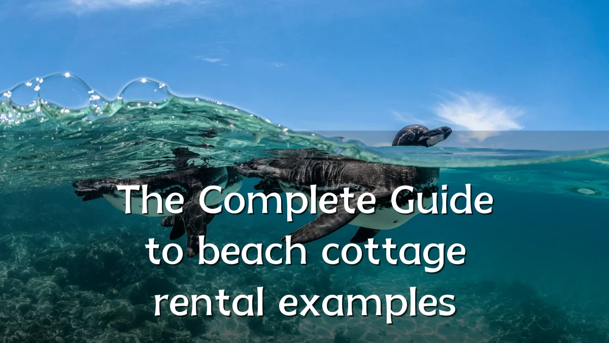 The Complete Guide to beach cottage rental examples