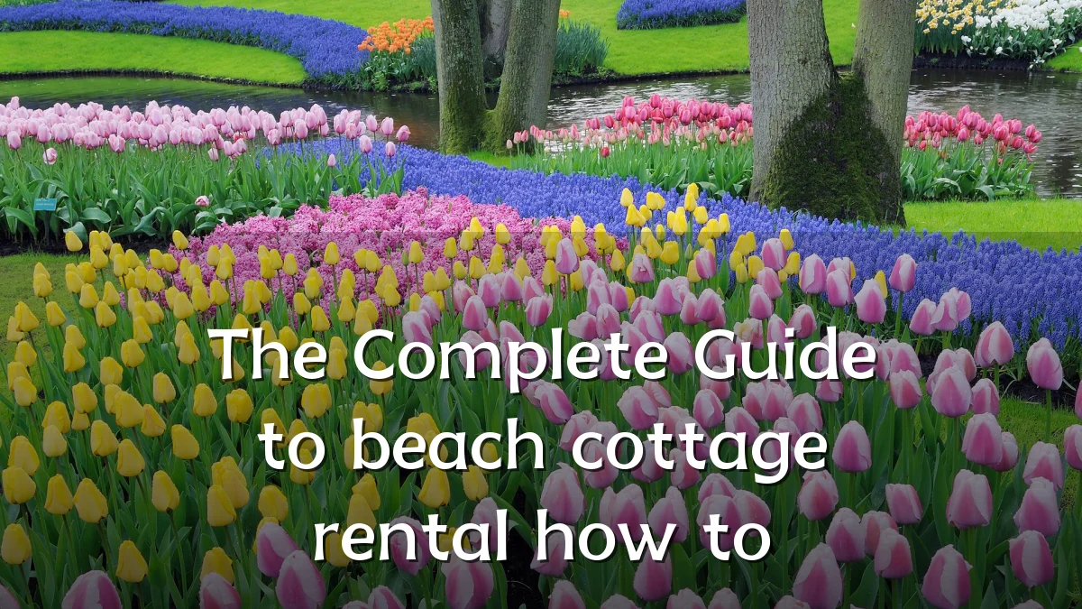The Complete Guide to beach cottage rental how to