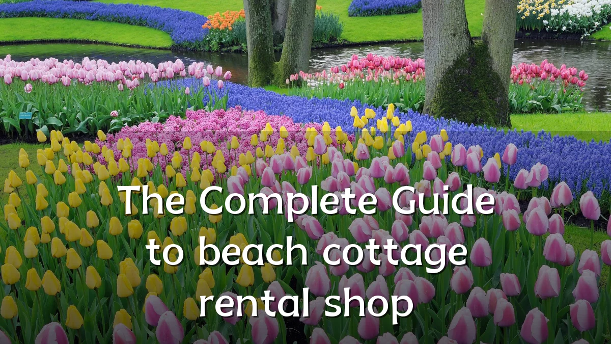 The Complete Guide to beach cottage rental shop