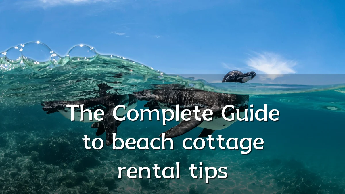 The Complete Guide to beach cottage rental tips