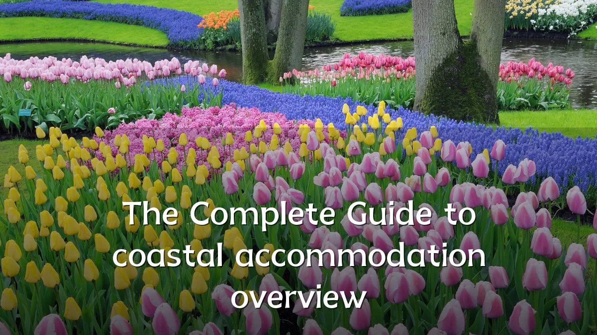 The Complete Guide to coastal accommodation overview