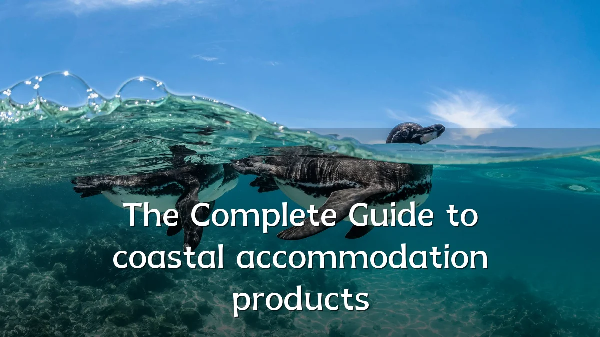 The Complete Guide to coastal accommodation products