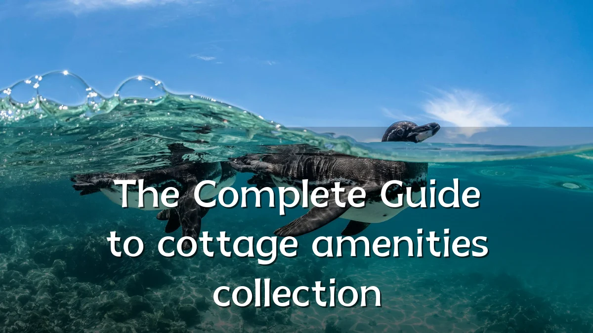 The Complete Guide to cottage amenities collection