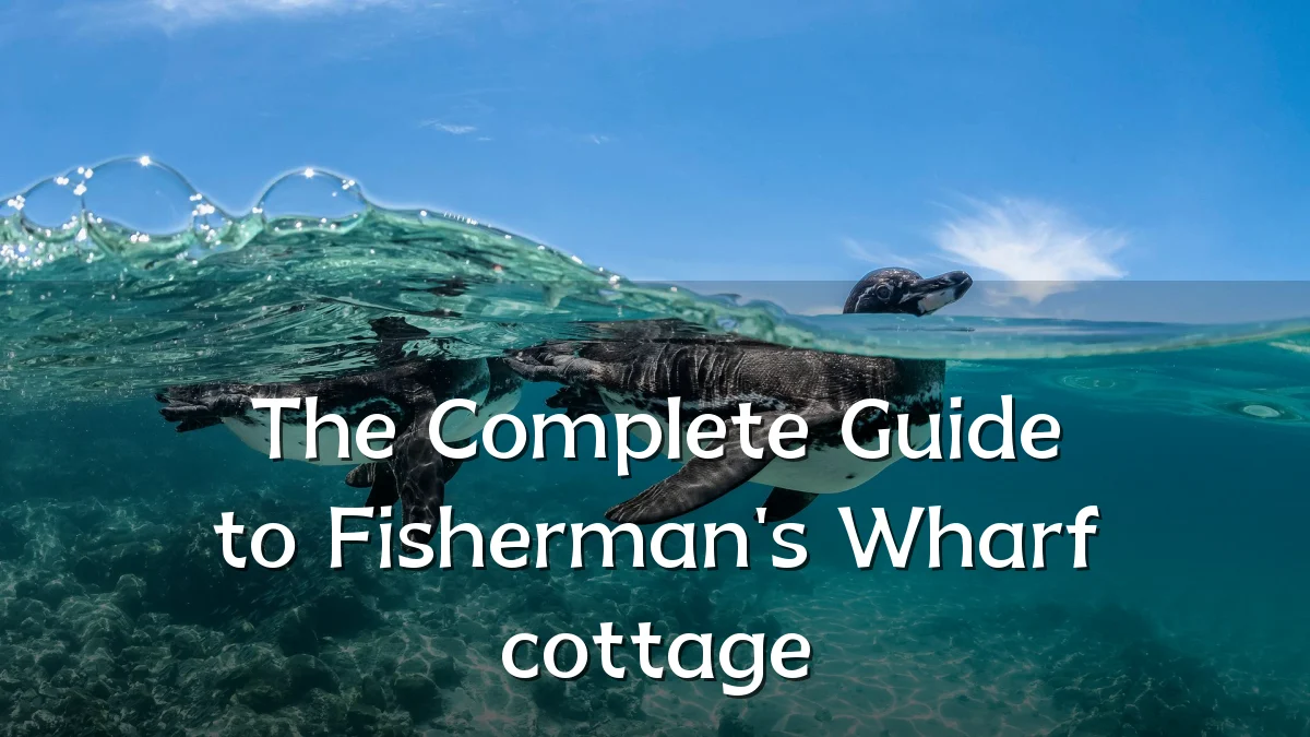 The Complete Guide to Fisherman's Wharf cottage