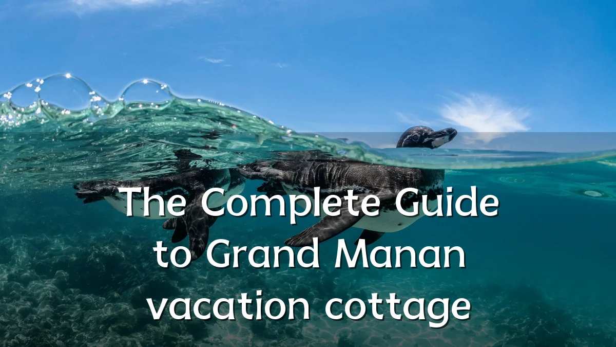 The Complete Guide to Grand Manan vacation cottage