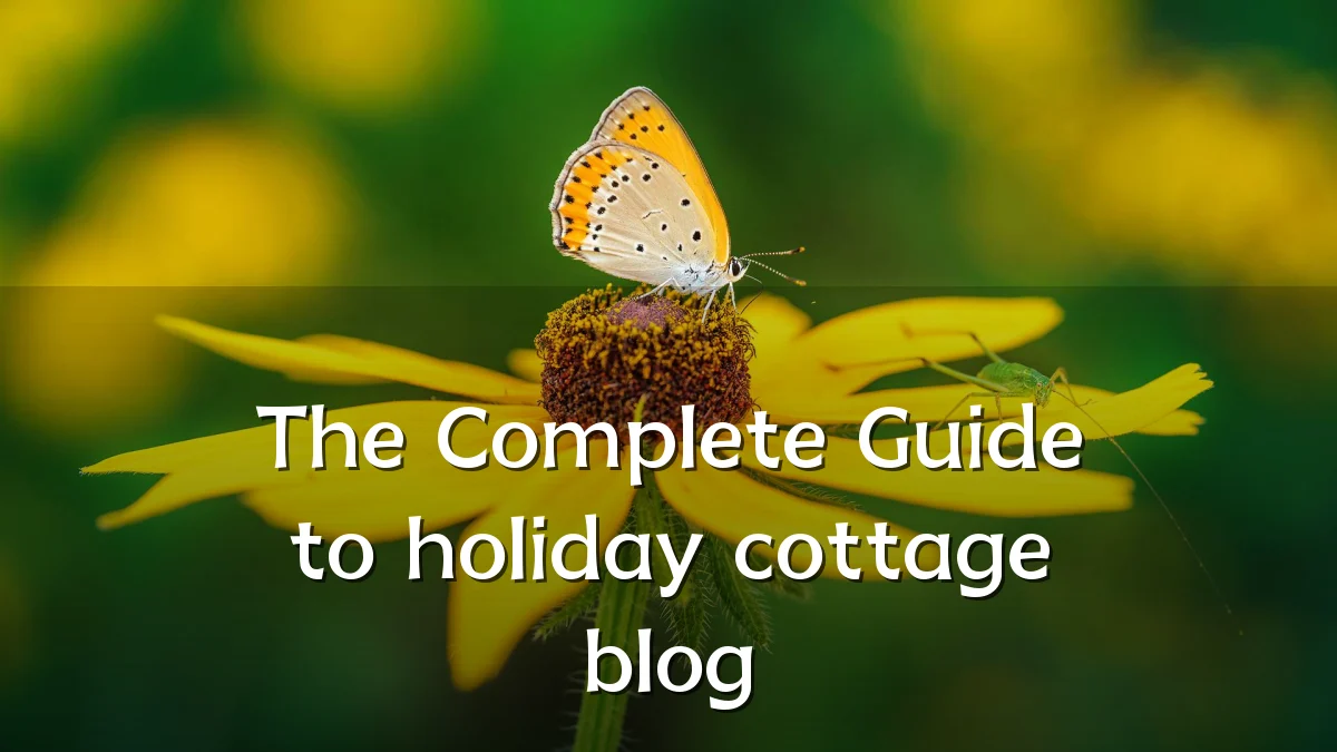 The Complete Guide to holiday cottage blog