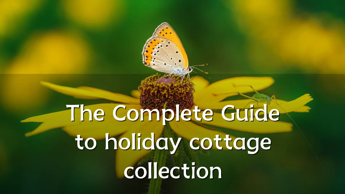 The Complete Guide to holiday cottage collection