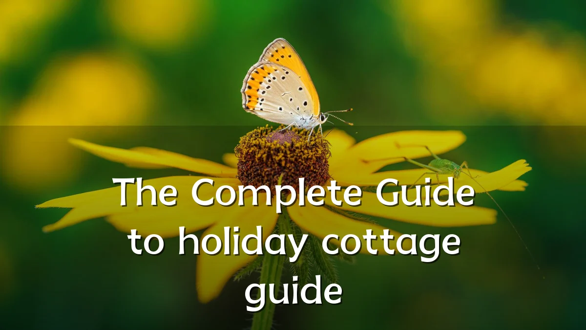 The Complete Guide to holiday cottage guide