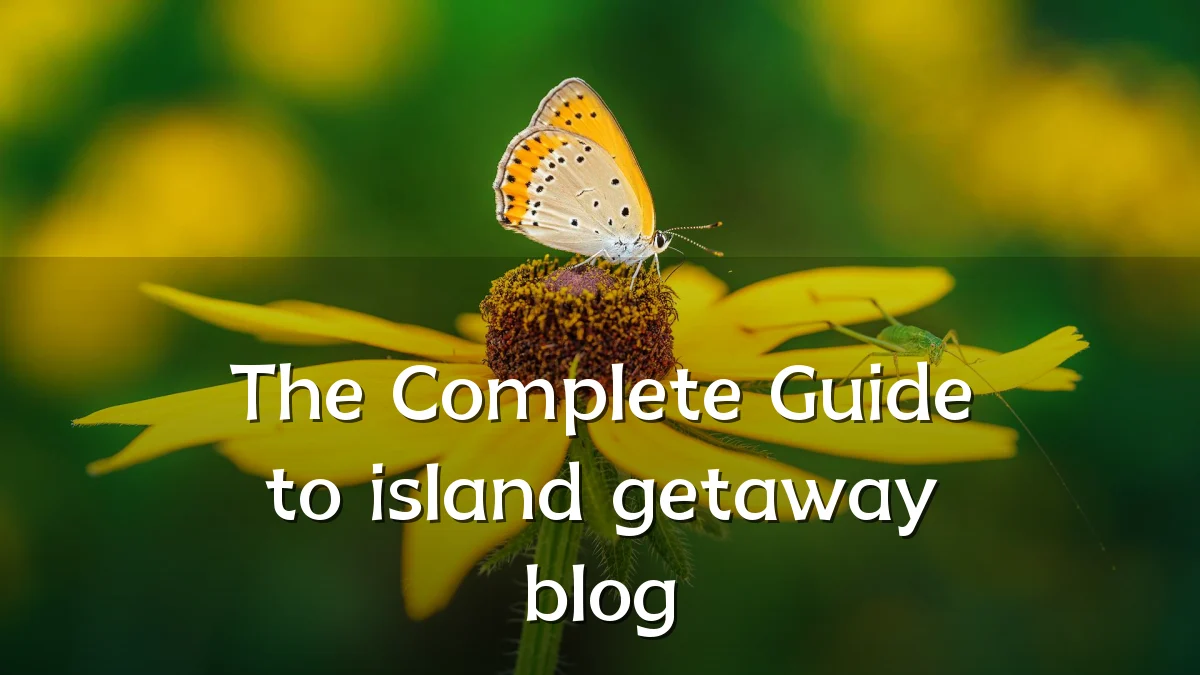 The Complete Guide to island getaway blog