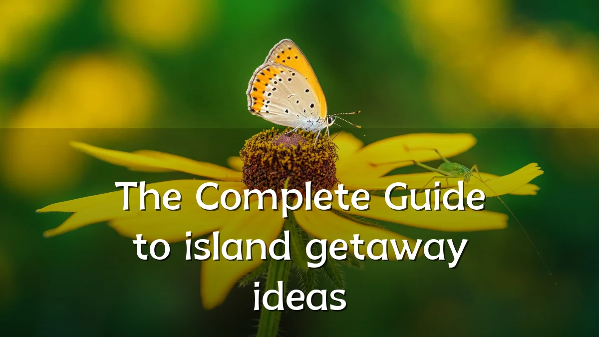 The Complete Guide to island getaway ideas