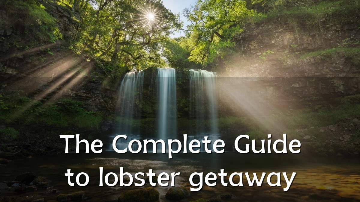 The Complete Guide to lobster getaway