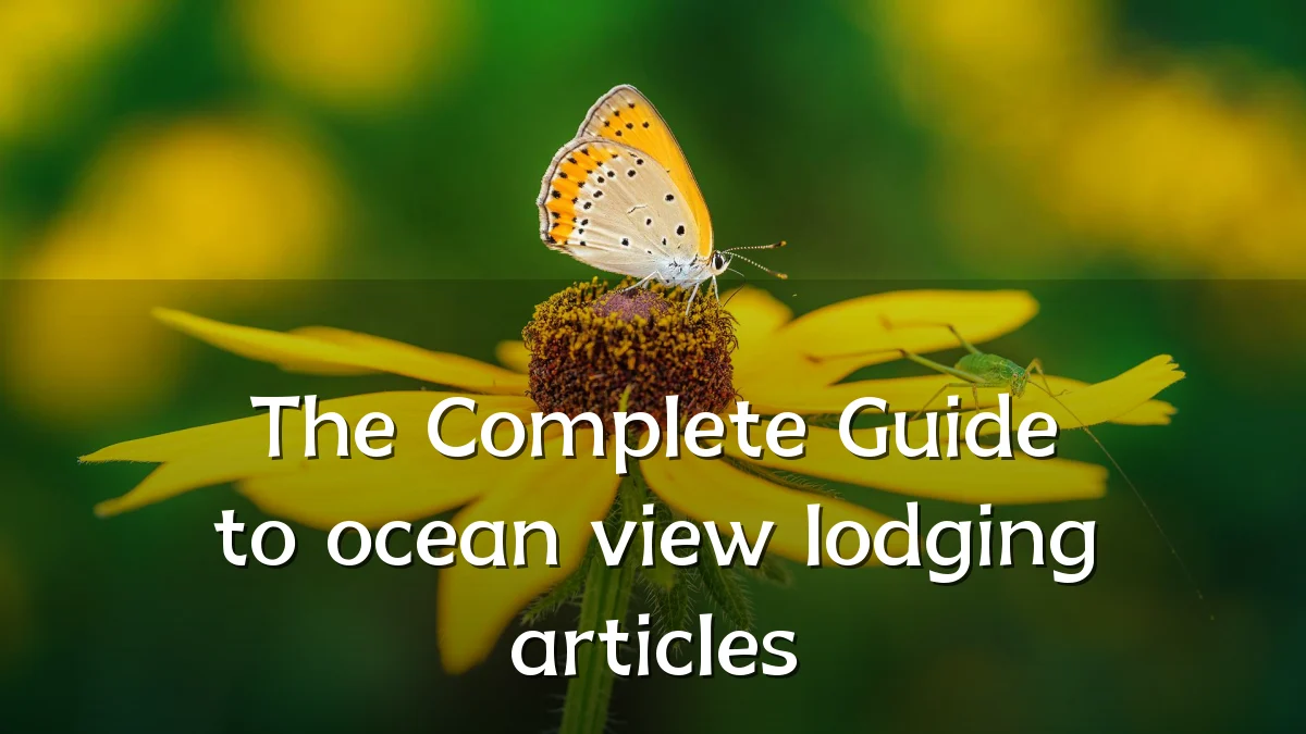 The Complete Guide to ocean view lodging articles