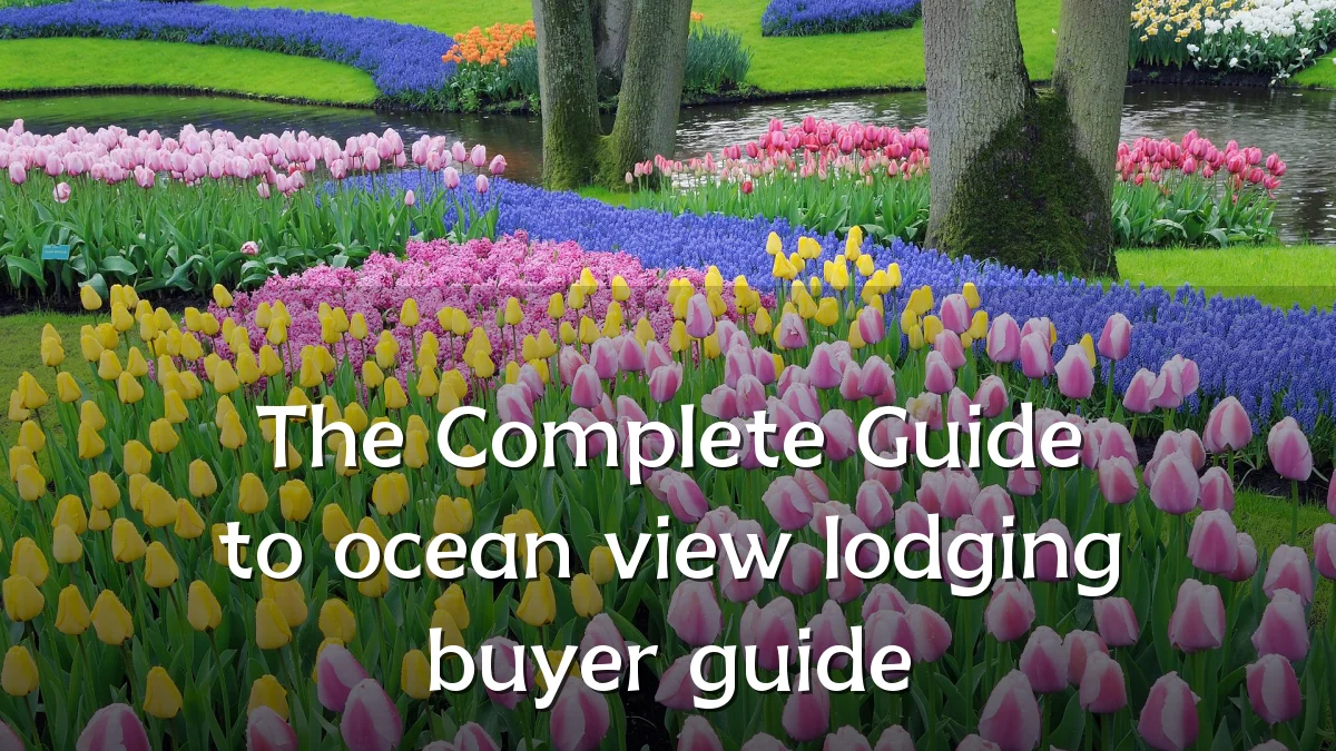 The Complete Guide to ocean view lodging buyer guide