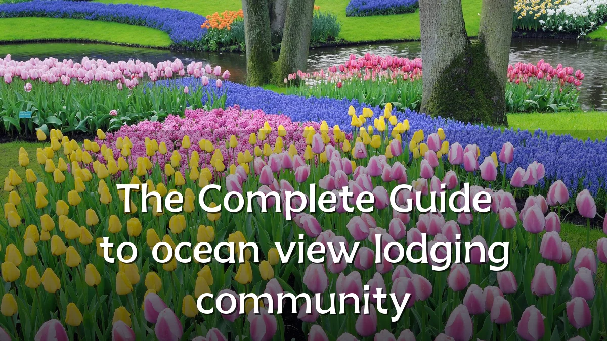 The Complete Guide to ocean view lodging community