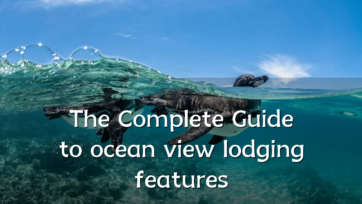 The Complete Guide to ocean view lodging features